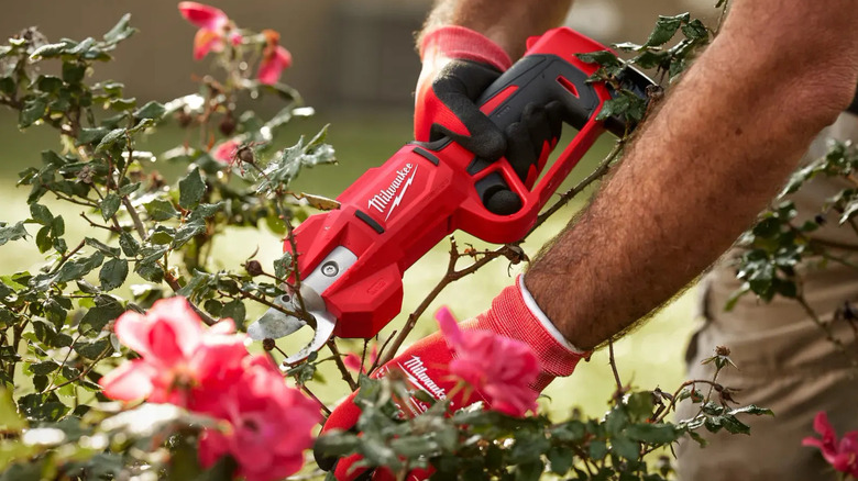 Milwaukee M12 Pruning Shears