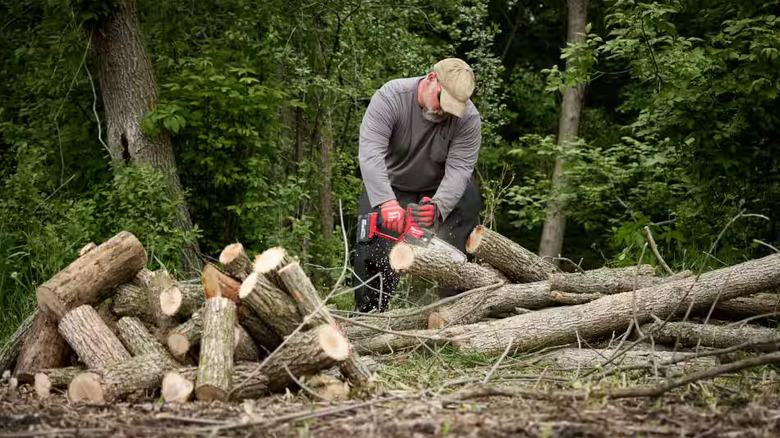 Milwaukee Pruning Saw