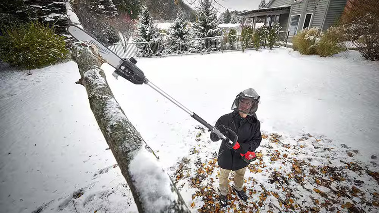 Milwaukee 10 inch Pole Saw