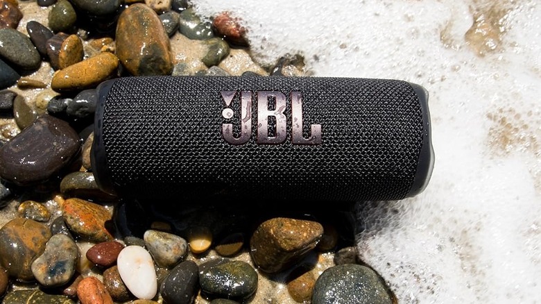 JBL Flip 6