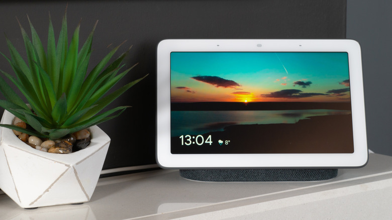 A Google Nest  Hub sitting next to a succulent