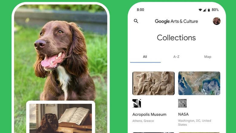 Several screenshots of the Google Arts & Culture app