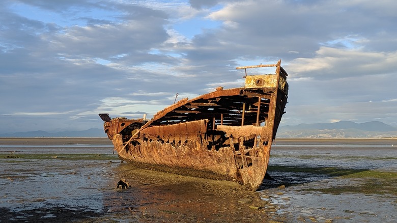 Janie Seddon shipwreck in Motueka