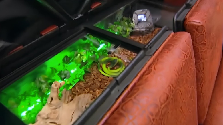 Terrarium in Volkswagen Thing