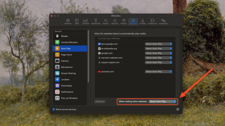 Safari auto play setting