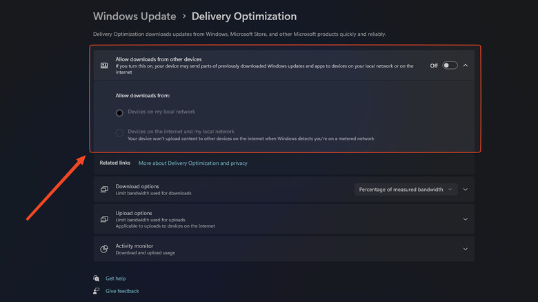 Windows 11 Delivery Optimization Settings