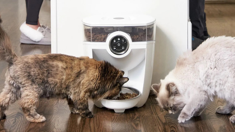 Whisker Feeder-Robot automatic pet feeder