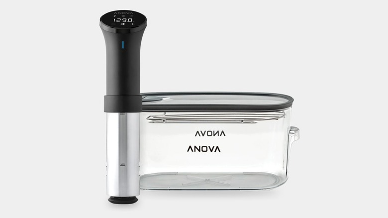 Anova sous vide cooker