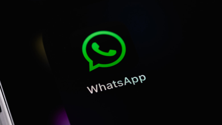 WhatsApp logo on phone screen