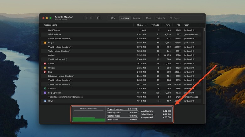 Activity Monitor memory processes