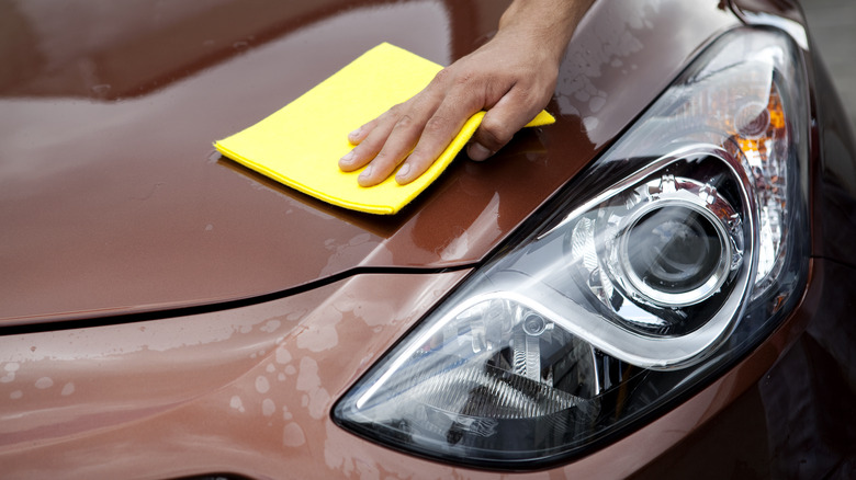 Person polishing a car