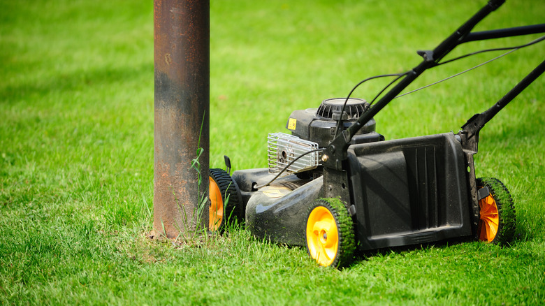 A lawnmower cutting grass by a tree