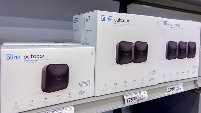 Blink cameras on shelf