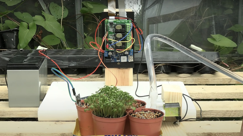 Raspberry Pi plant care