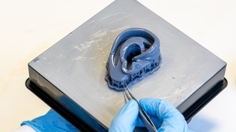 A bioprinted ear