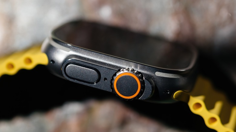 Side profile of Digital Crown on the Apple Watch