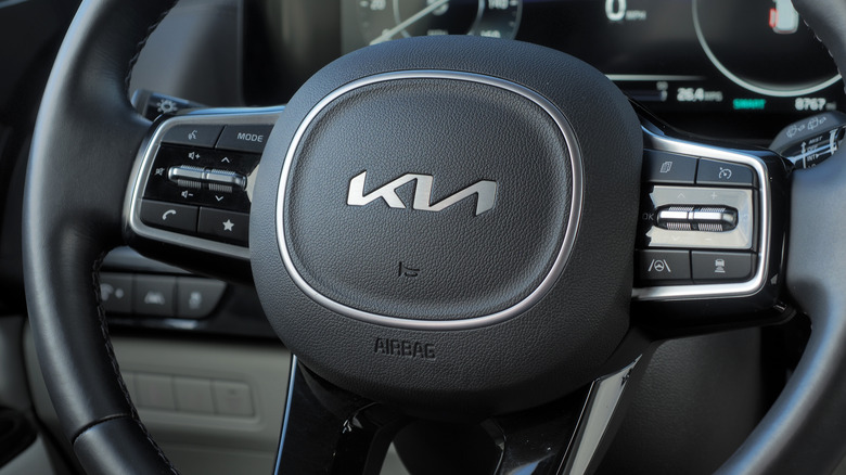 2023 Kia Carnival steering wheel