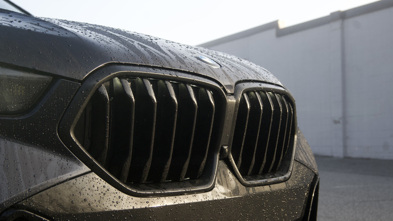 BMW X6 Grille