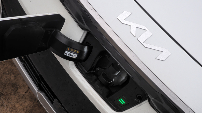 2024 Kia Niro EV front logo and charge port