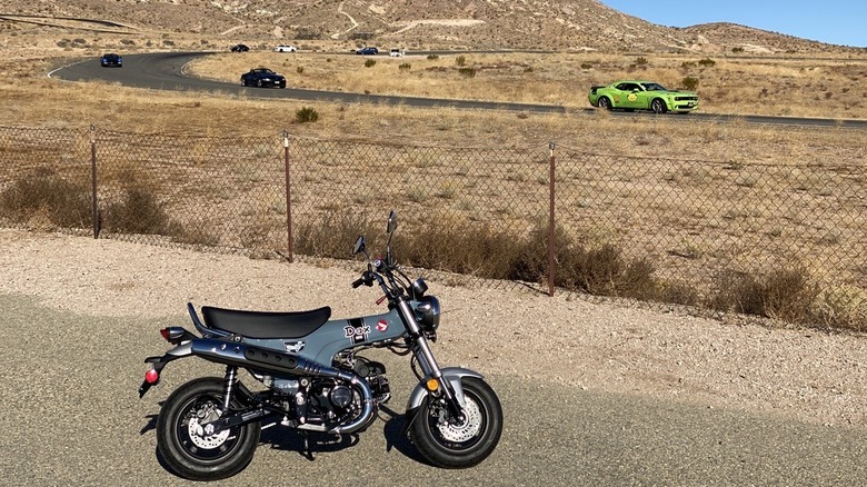 2025 Honda Dax 125 at Streets of Willow