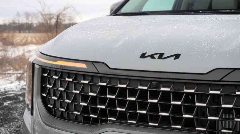 2025 Kia Carnival HEV logo and grille detail