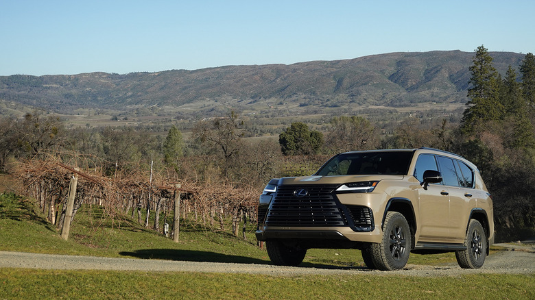 2025 Lexus LX 700h Overtrail on a vineyard in Napa Valley