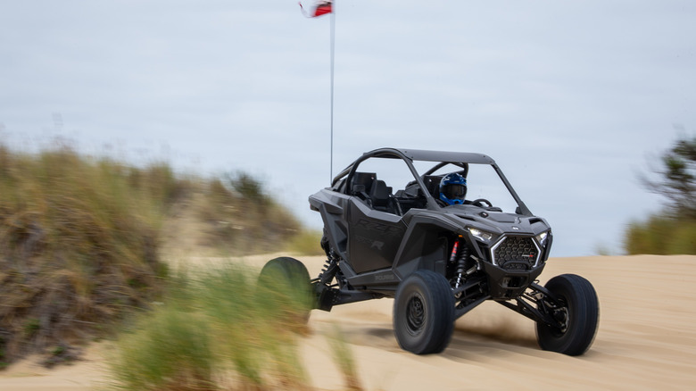 RZR Pro R