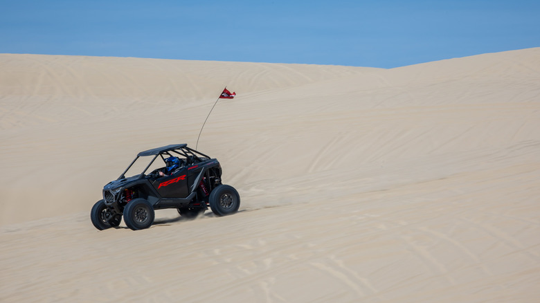 RZR Pro S