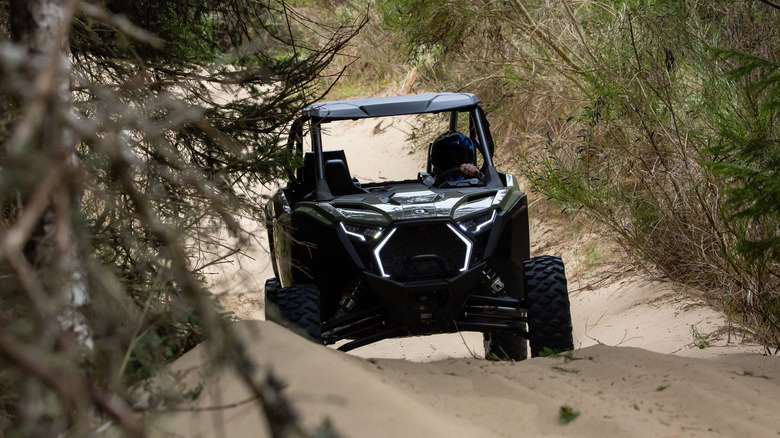 RZR Pro XP