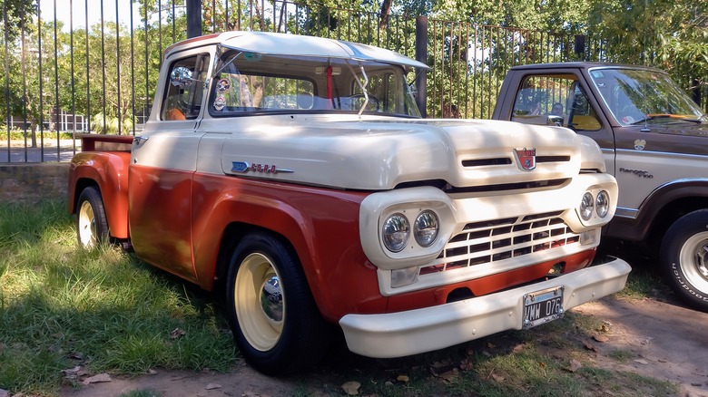 Ford F-100 sitting in grass