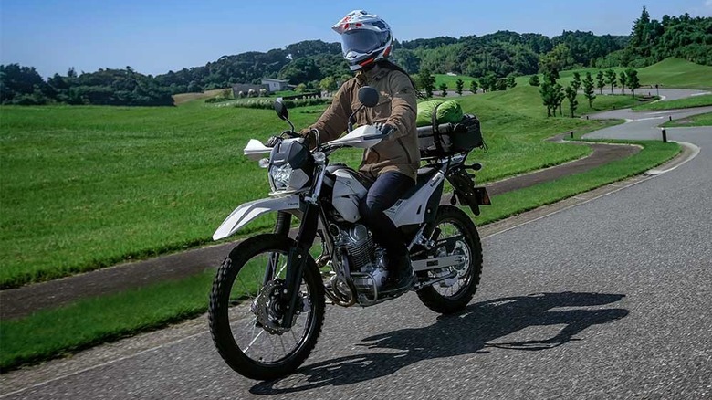 The Kawasaki KLX230 Sherpa on a windy road