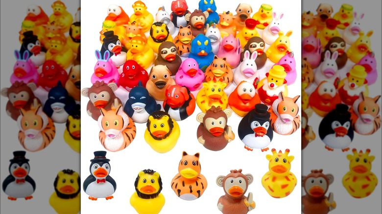 Cherislpy animal ducks