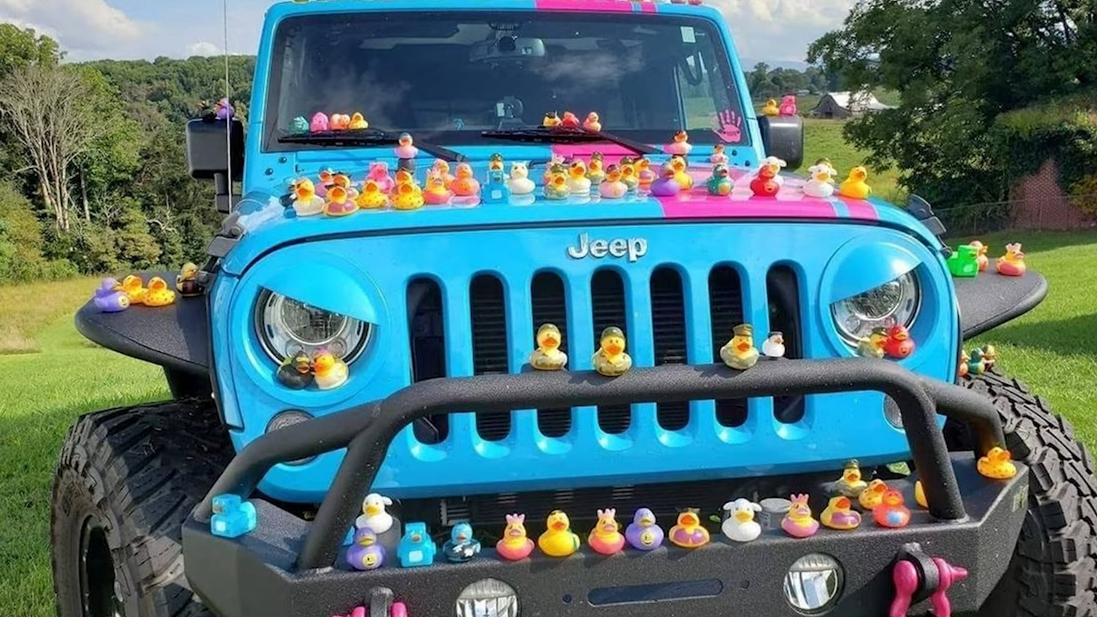 3 Of The Best Ducks For Jeep 'Ducking'