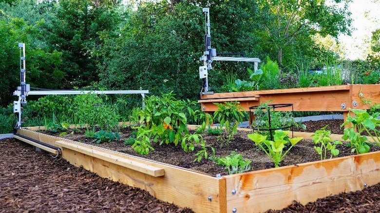 FarmBot automated garden system