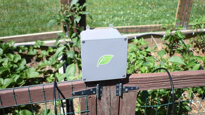 MudPi hydroponics system