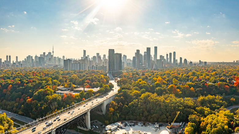 sunny city behind forest