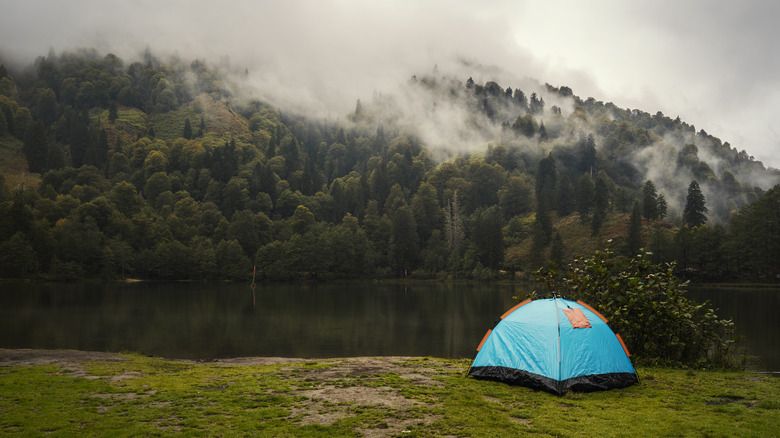 Camping tent in nature