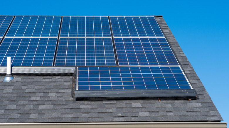 critter guard around solar panels on roof