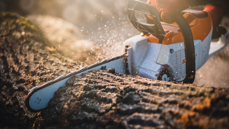 Chainsaw cutting through wood