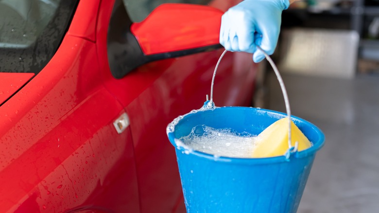 Person holding a bucket of soapy water