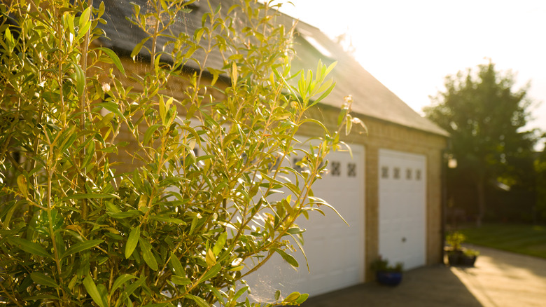 Home garage with sun shining on roof