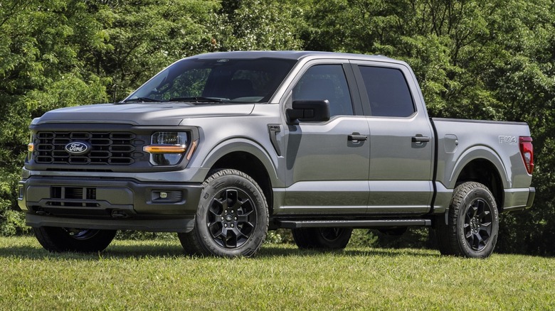 A gray Ford F-150 STX parked on grass with trees in the background