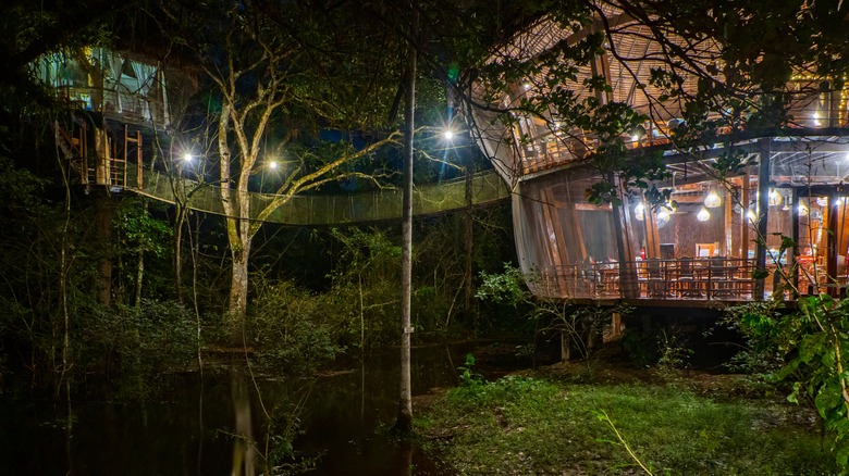 treehouse in forest