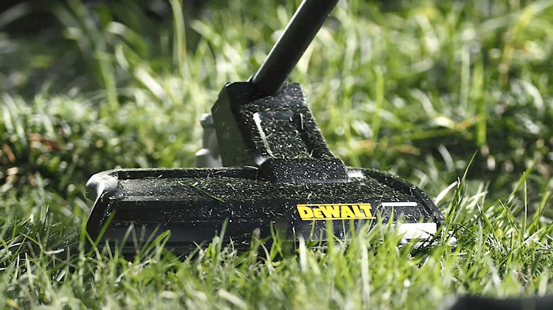 DeWalt logo on the back of an edge trimmer