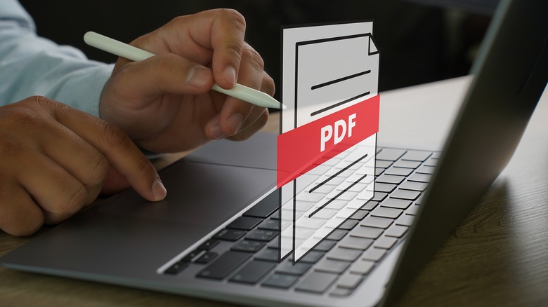 person working on laptop with PDF graphic