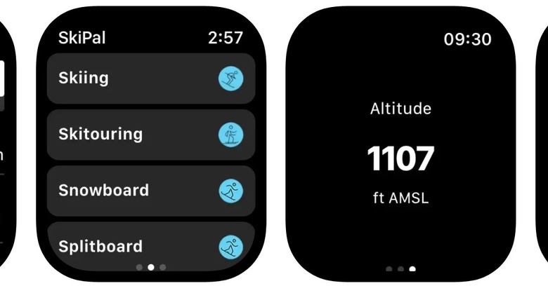 SkiPal interface on Apple Watch