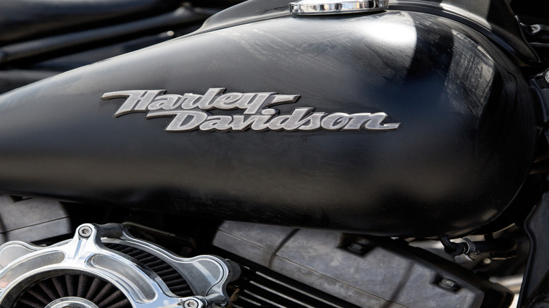 The Harley-Davidson logo on the side of a fuel tank.