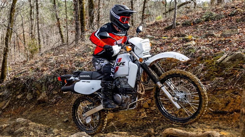 person riding Honda XR650L