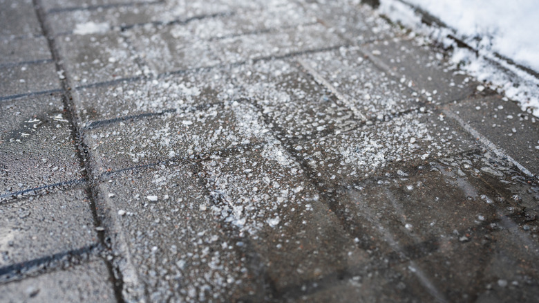 ice on sidewalk treated with de-icing compound