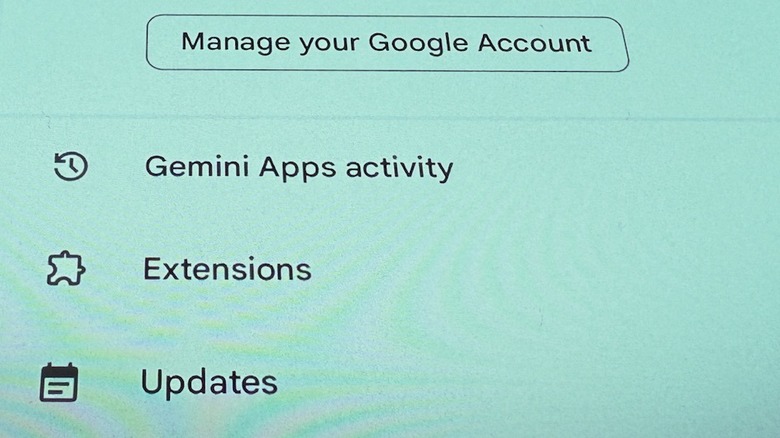 Google Gemini activity dashboard.